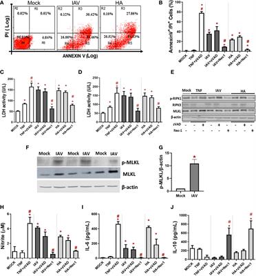 Severe influenza infection is associated with inflammatory programmed cell death in infected macrophages